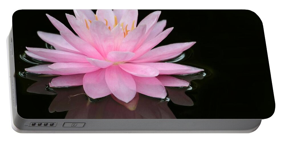 Pink Portable Battery Charger featuring the photograph Pink Water Lily in a Dark Pond by Sabrina L Ryan