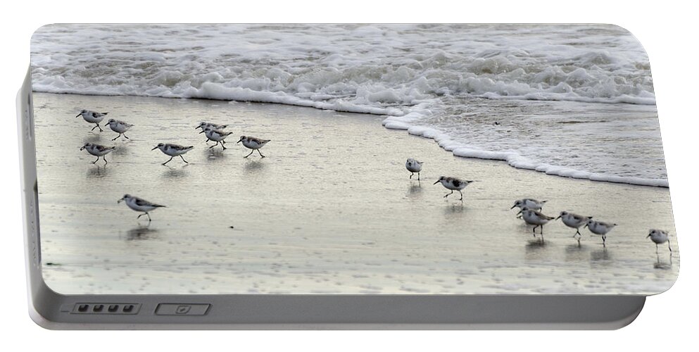 Birds Portable Battery Charger featuring the photograph Piping Plovers at Water's Edge by Maureen E Ritter