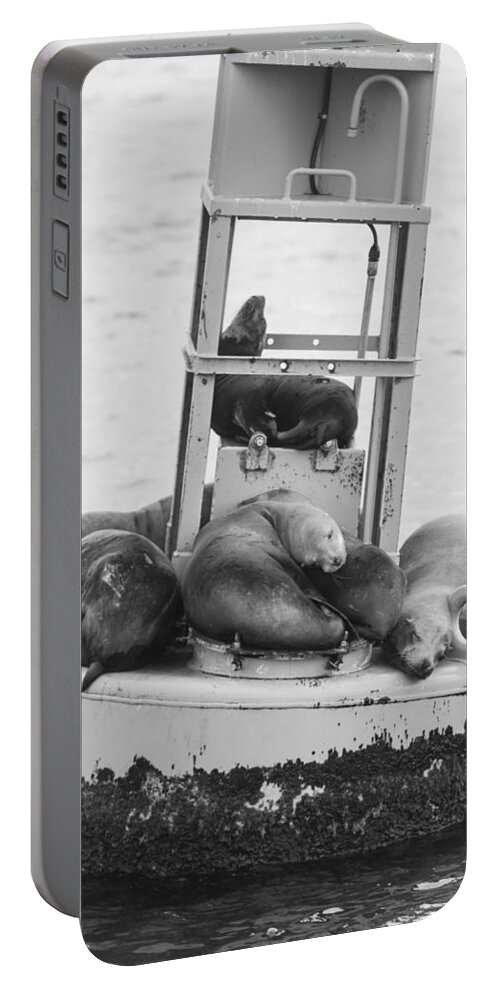 Seal Portable Battery Charger featuring the photograph Pit Stop Black and White by Scott Campbell