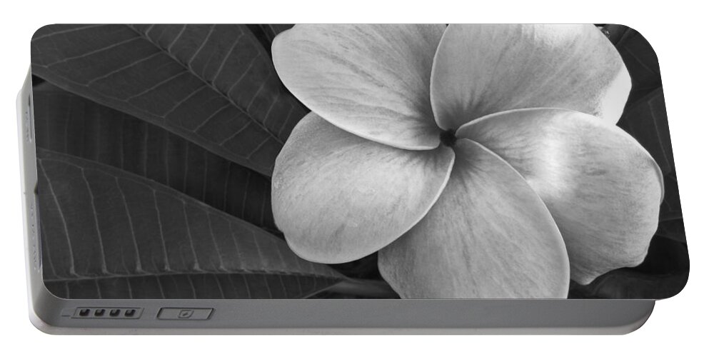 Floral Portable Battery Charger featuring the photograph Plumeria with Raindrops by Shane Kelly