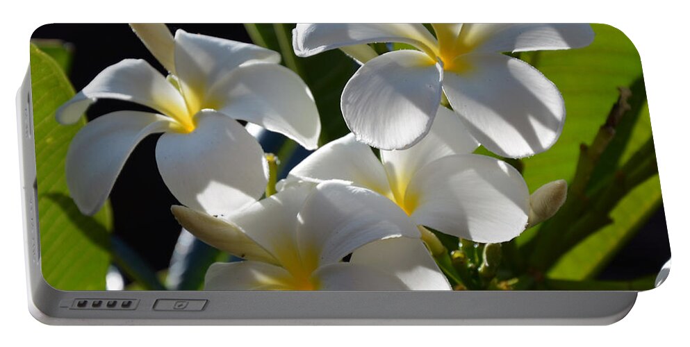 Plumeria Portable Battery Charger featuring the photograph Plumeria's III by Robert Meanor