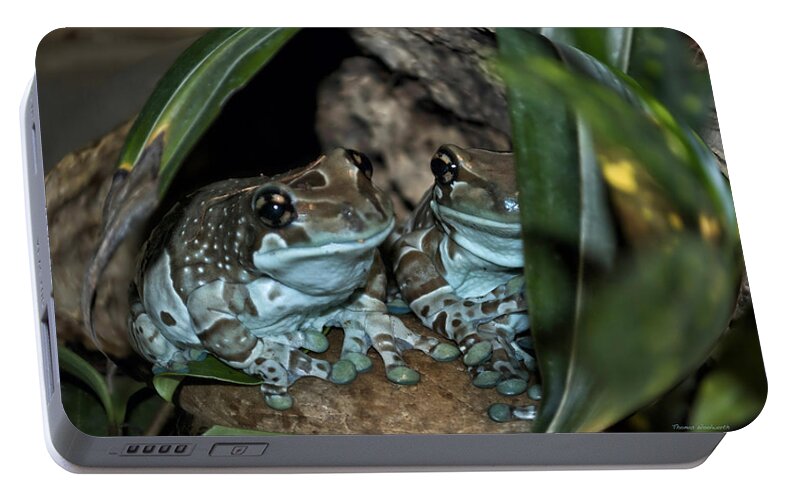 Animals Portable Battery Charger featuring the photograph Poisonous Frogs With Sticky Feet by Thomas Woolworth