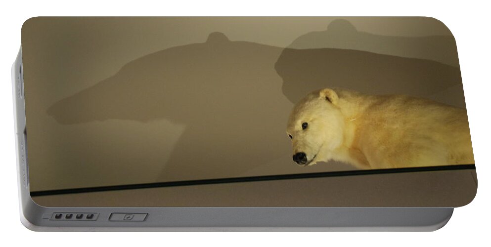 Natural History Portable Battery Charger featuring the photograph Polar Bear Shadows by Kenny Glover