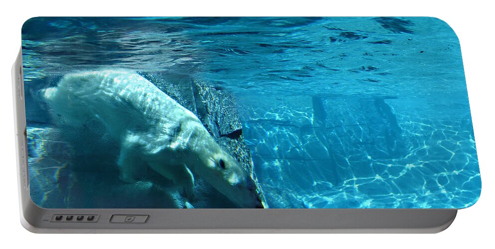 Wild Life Portable Battery Charger featuring the photograph Polar Bear by Steve Karol