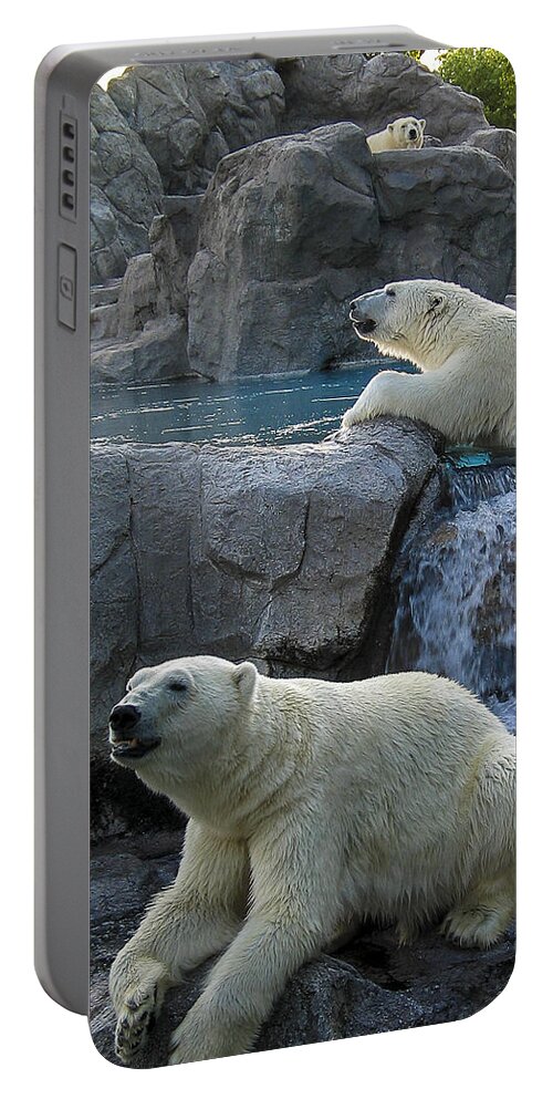 Bears Portable Battery Charger featuring the photograph Polar bears by Steven Ralser