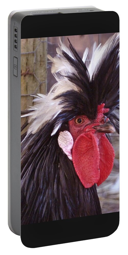 Polish Rooster Portable Battery Charger featuring the photograph Polish rooster by K L Kingston