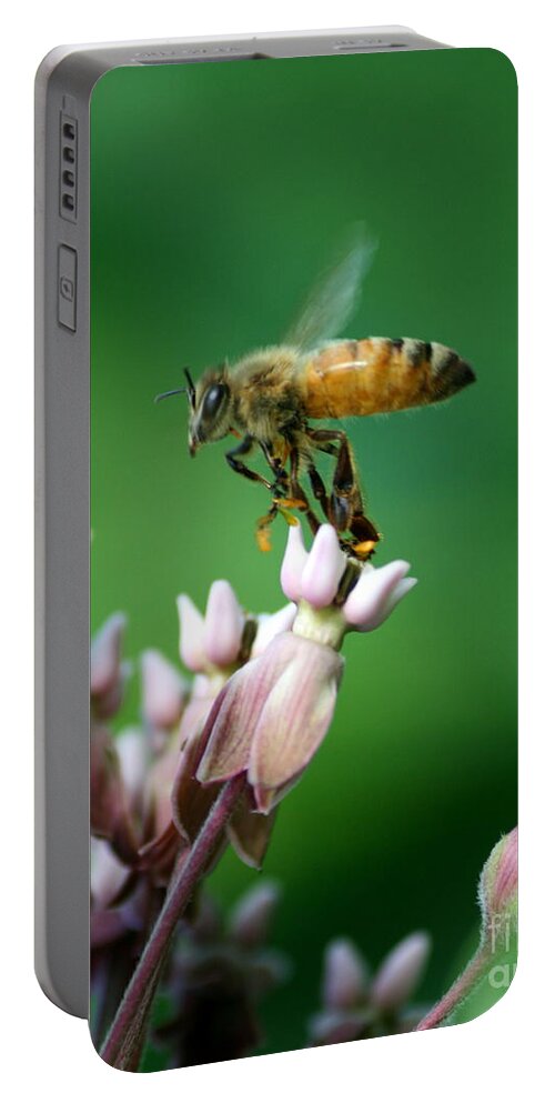 Bee Portable Battery Charger featuring the photograph Pollen Dance by Neal Eslinger
