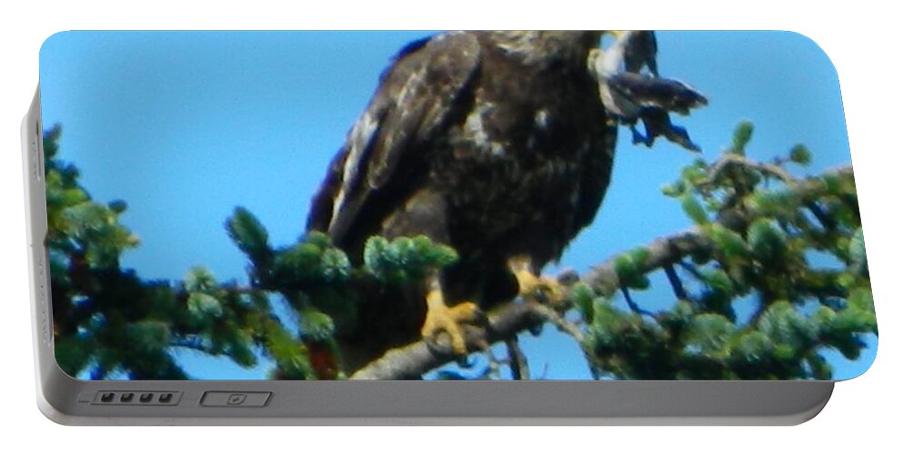 Oregon Portable Battery Charger featuring the photograph Poor Bird 2 by Gallery Of Hope 