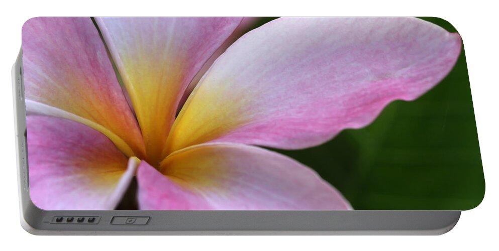 Macro Portable Battery Charger featuring the photograph Pop of Pink Plumeria by Sabrina L Ryan
