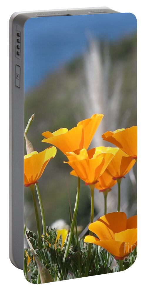 Orange Portable Battery Charger featuring the photograph Poppies by Bev Conover