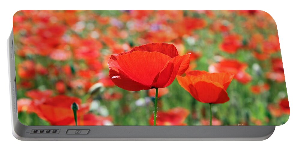 Poppy Poppies Field Portable Battery Charger featuring the photograph Poppies by Julia Gavin