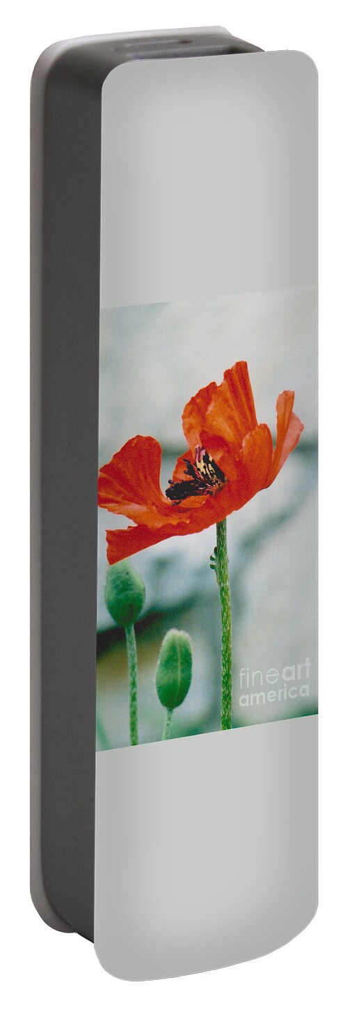 Poppy Portable Battery Charger featuring the photograph Poppy - 1 by Jackie Mueller-Jones