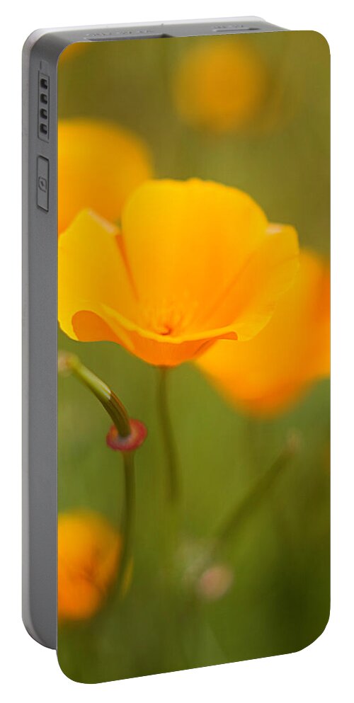 Floral Portable Battery Charger featuring the photograph Poppy II by Ronda Kimbrow