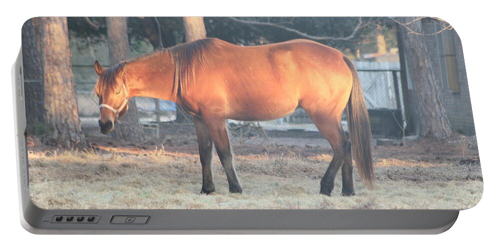 Art Portable Battery Charger featuring the photograph Portrait of a horse by Michelle Powell