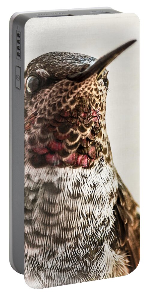 Hummingbird Portable Battery Charger featuring the photograph Portrait of a Hummer by Caitlyn Grasso