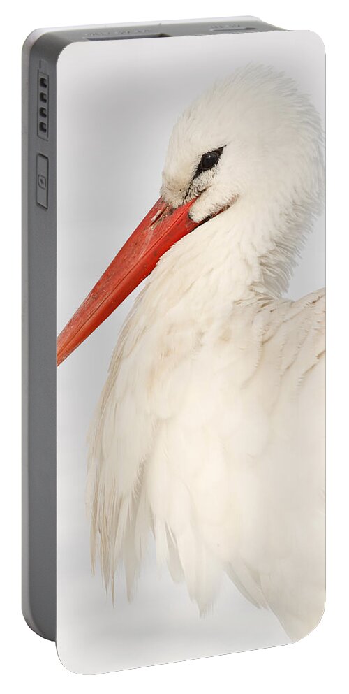 Ciconia Ciconia Portable Battery Charger featuring the photograph Portrait of a White Stork in the snow by Roeselien Raimond