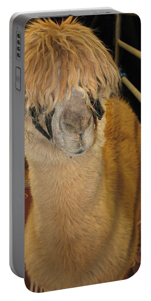 Charming Portable Battery Charger featuring the photograph Portrait of an Alpaca by Connie Fox