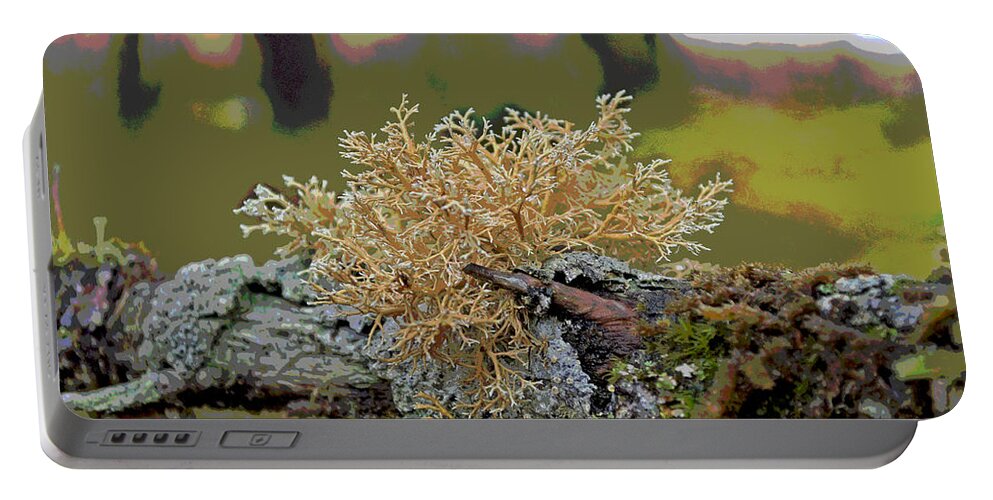 Antler Portable Battery Charger featuring the photograph Posterized Antler Lichen by Cathy Mahnke