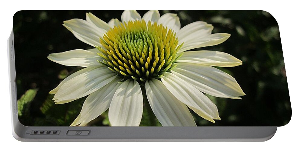 Pow Wow White Echinacea Portable Battery Charger featuring the photograph Pow Wow Echinacea by MTBobbins Photography