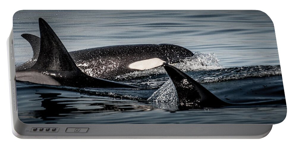Orca Portable Battery Charger featuring the photograph Orca Power Pod I by Roxy Hurtubise
