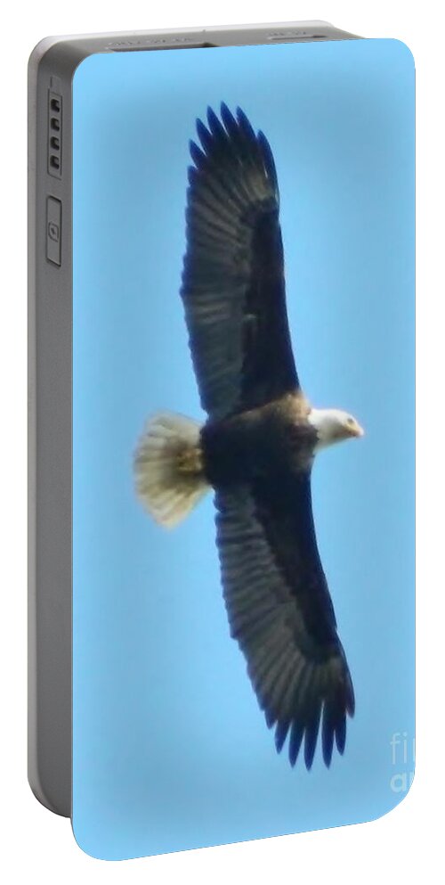 Eagle Portable Battery Charger featuring the photograph Powerful Elegance by Gallery Of Hope 
