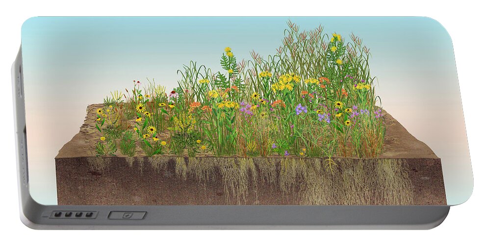 Prairie Portable Battery Charger featuring the photograph Prairie Plants Succession, Illustration by Carlyn Iverson