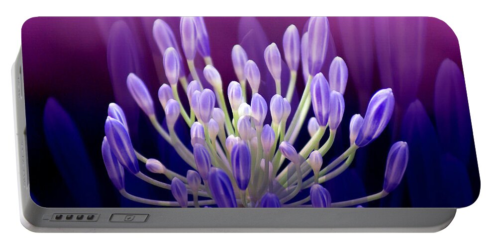 Agapanthus Portable Battery Charger featuring the photograph Praise by Holly Kempe