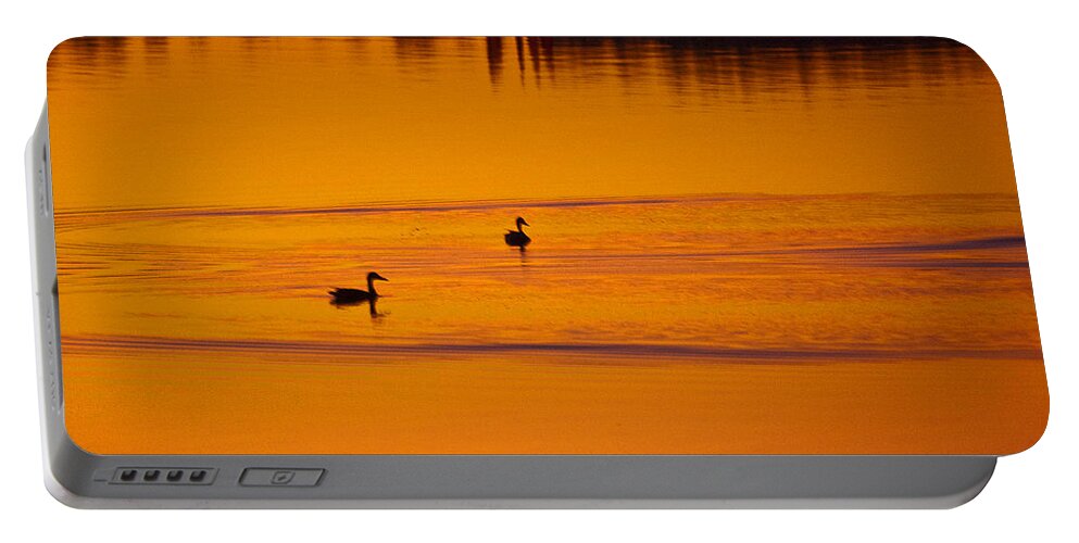 Ducks Portable Battery Charger featuring the photograph Pre Dawn Light by Ron Roberts
