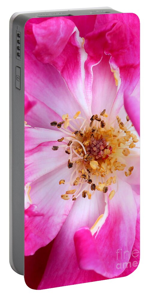 Macro Portable Battery Charger featuring the photograph Pretty in Pink Rose Close Up by Sabrina L Ryan