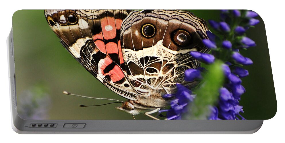 Butterflies Portable Battery Charger featuring the photograph Pretty Painted Lady by Kathy Baccari