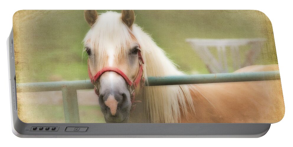 Animals Portable Battery Charger featuring the photograph Pretty Palomino Horse Photography by Eleanor Abramson