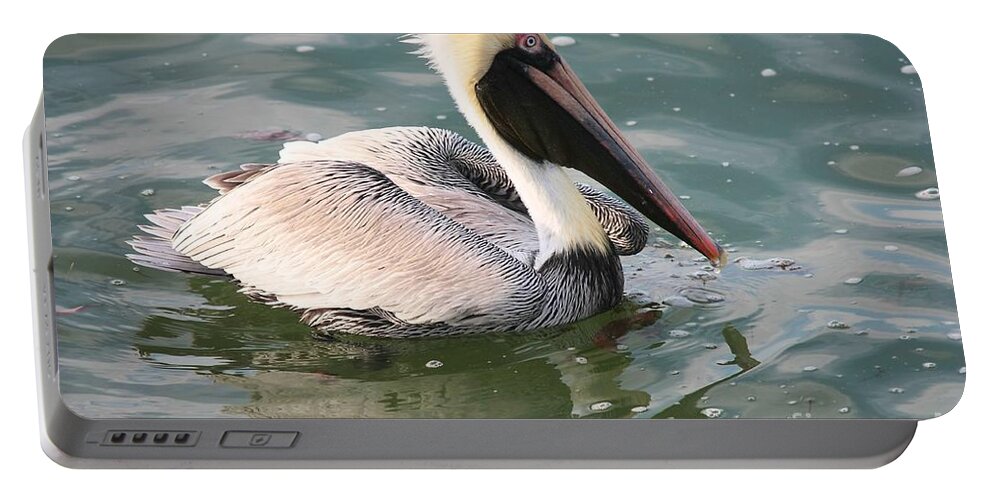 Pelican Portable Battery Charger featuring the photograph Pretty Pelican in Pond by Carol Groenen