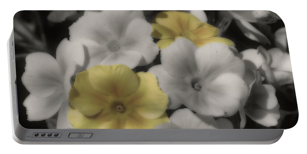 Primrose Portable Battery Charger featuring the photograph Primrose Flowers by Smilin Eyes Treasures