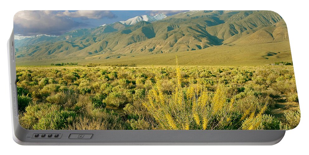 White Mountains Portable Battery Charger featuring the photograph Princes Plume and White Mountains - Owens Valley California by Ram Vasudev