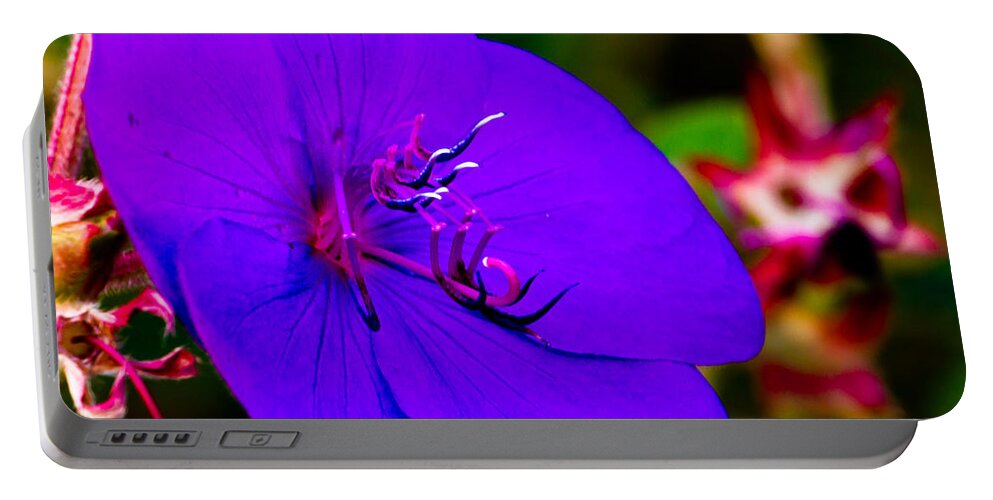 Flower Portable Battery Charger featuring the photograph Princess Flower by Ben Graham
