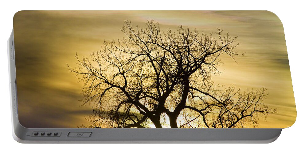 Trees Portable Battery Charger featuring the photograph Prism Sunset Light Tree Magic Hour by James BO Insogna