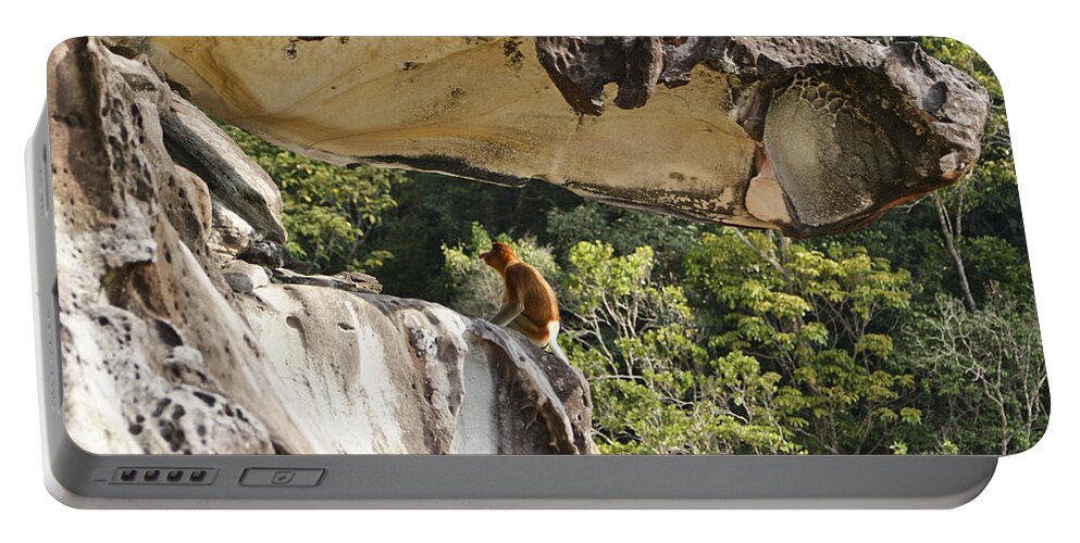 Proboscis Monkey Portable Battery Charger featuring the photograph Proboscis Cliff by Brian Kamprath