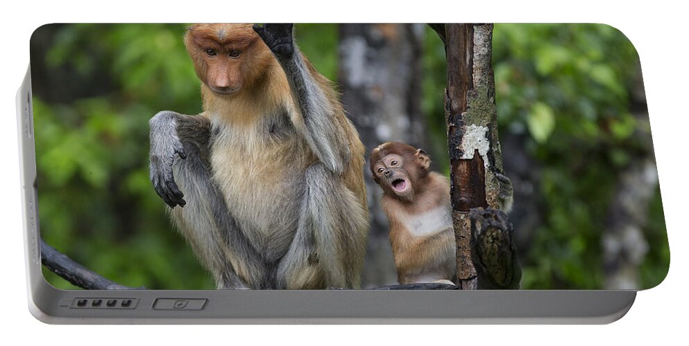 Suzi Eszterhas Portable Battery Charger featuring the photograph Proboscis Monkey Mother And Three Month by Suzi Eszterhas