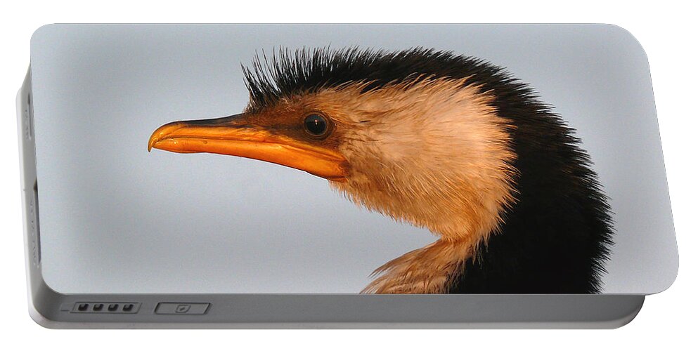 Cormorant Portable Battery Charger featuring the photograph Profile Of A Young Cormorant by Evelyn Tambour