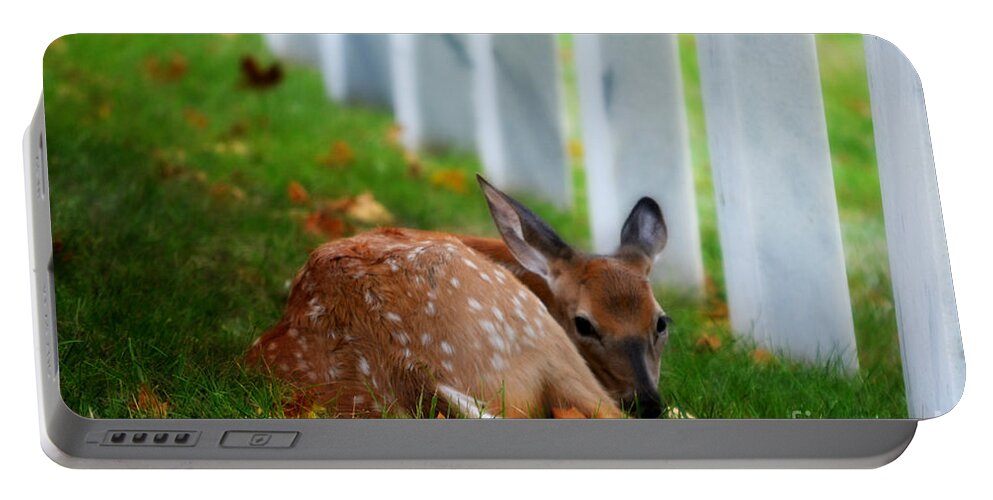 Landscape Portable Battery Charger featuring the photograph Protecting Our Heros by Peggy Franz