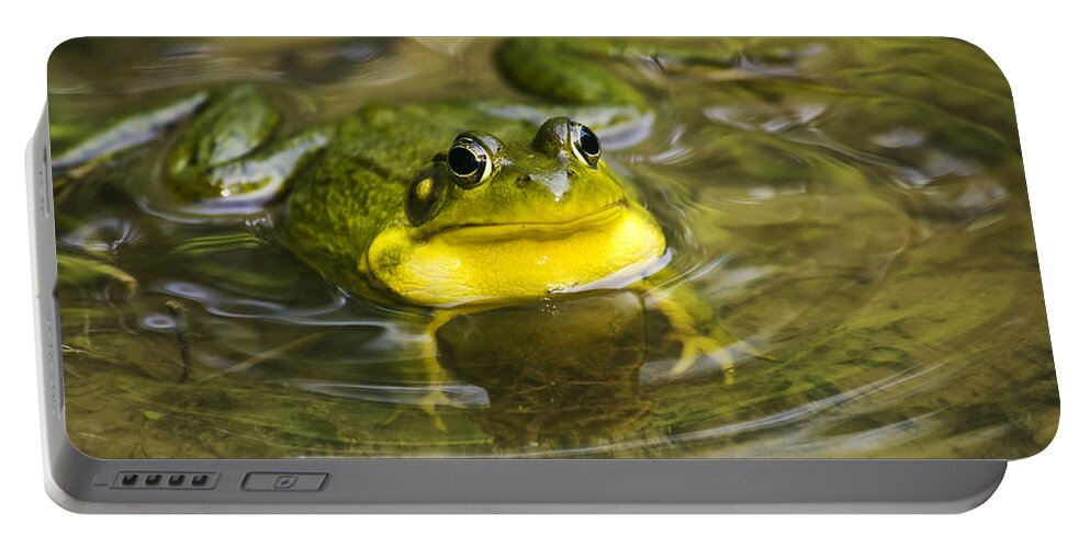 Frog Portable Battery Charger featuring the photograph Puddle Jumper by Christina Rollo