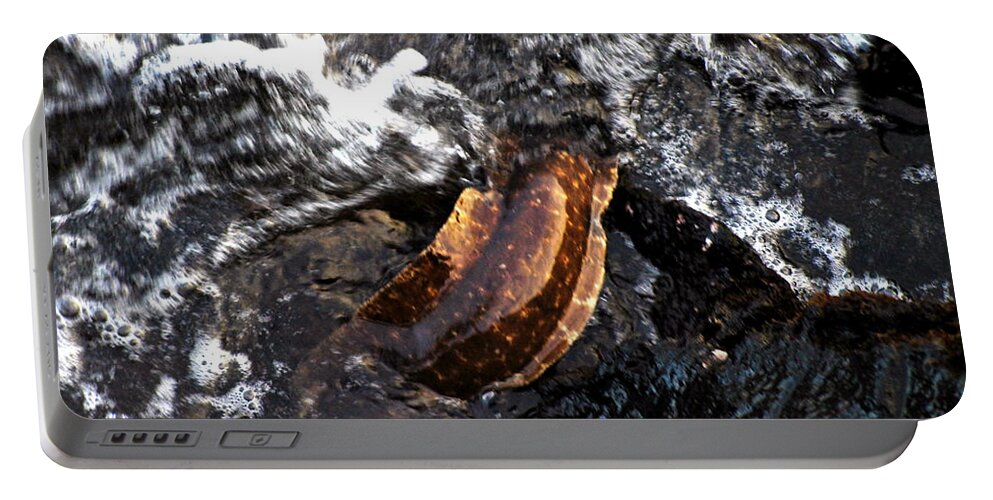 Hawaii Portable Battery Charger featuring the photograph Puhi'ula the giant red eel by Lehua Pekelo-Stearns