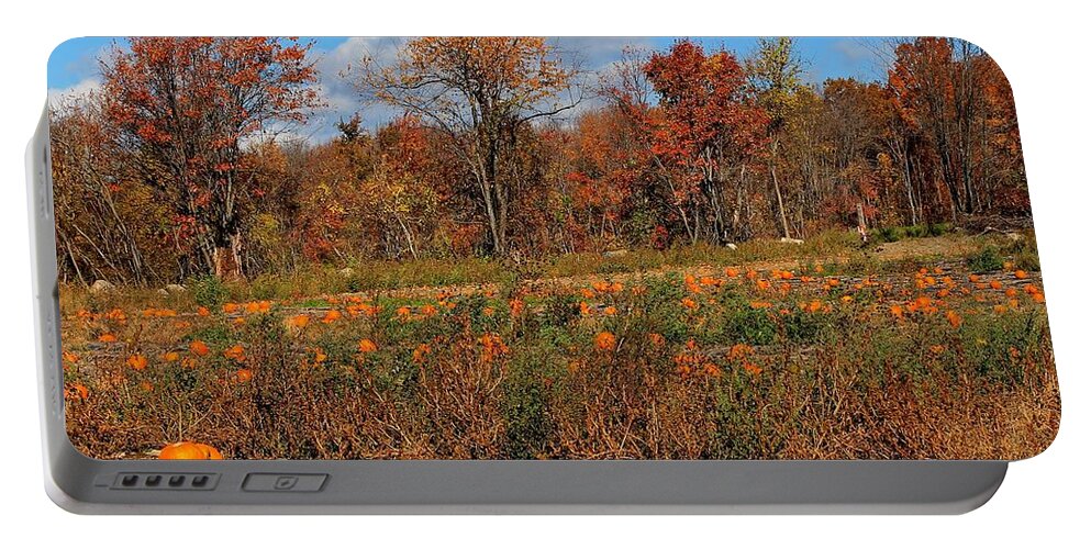 Sterling Ma Portable Battery Charger featuring the photograph Pumpkin Patch at Rota Springs 2 by Michael Saunders