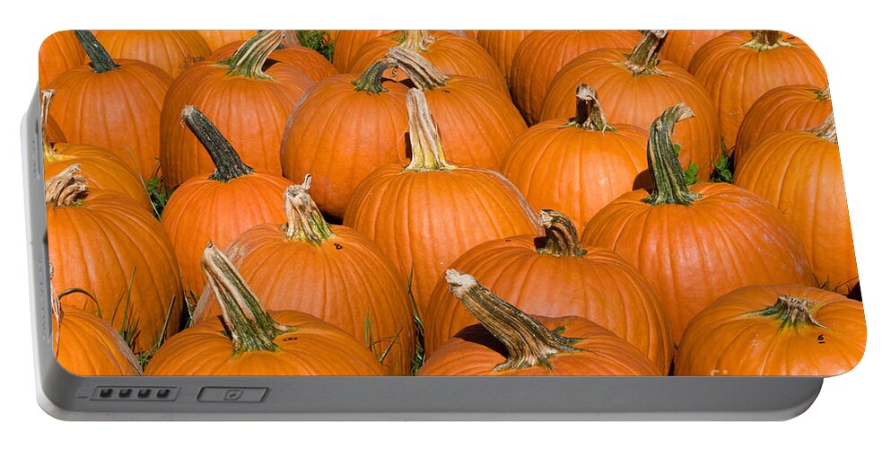 Plant Portable Battery Charger featuring the photograph Pumpkins by Millard H Sharp