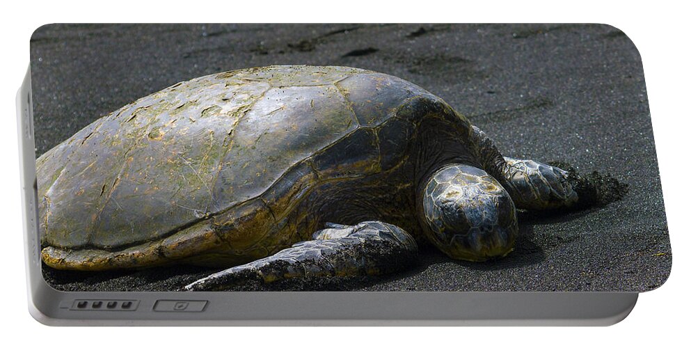 Fine Art Print Portable Battery Charger featuring the photograph Punaluu Turtle by Patricia Griffin Brett