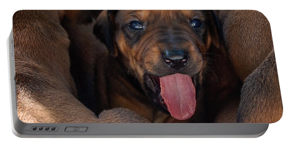 Fine Art America Puppy Portable Battery Charger featuring the photograph Puppy by Mim White