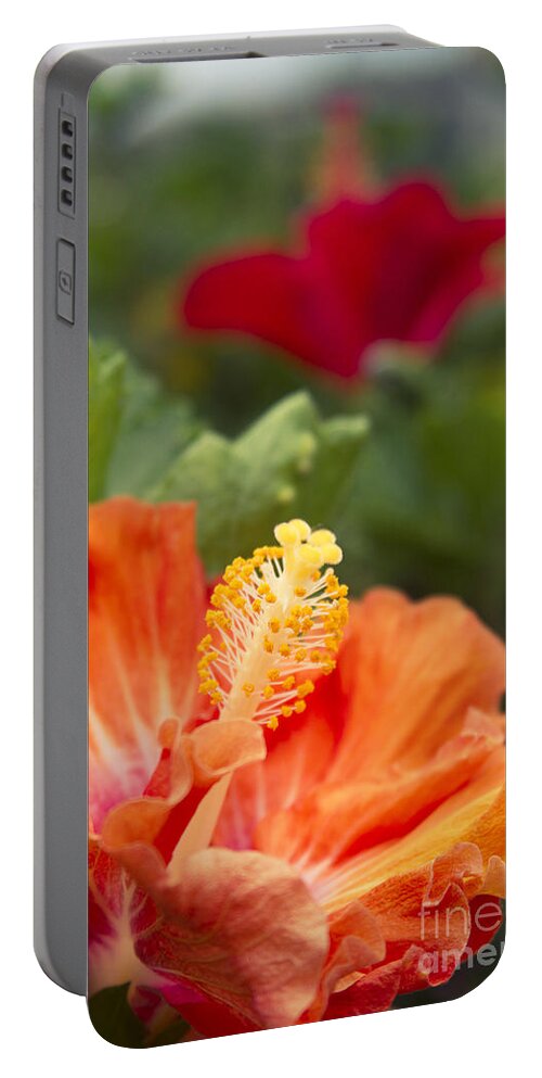 Aloha Portable Battery Charger featuring the photograph Pure Love by Sharon Mau