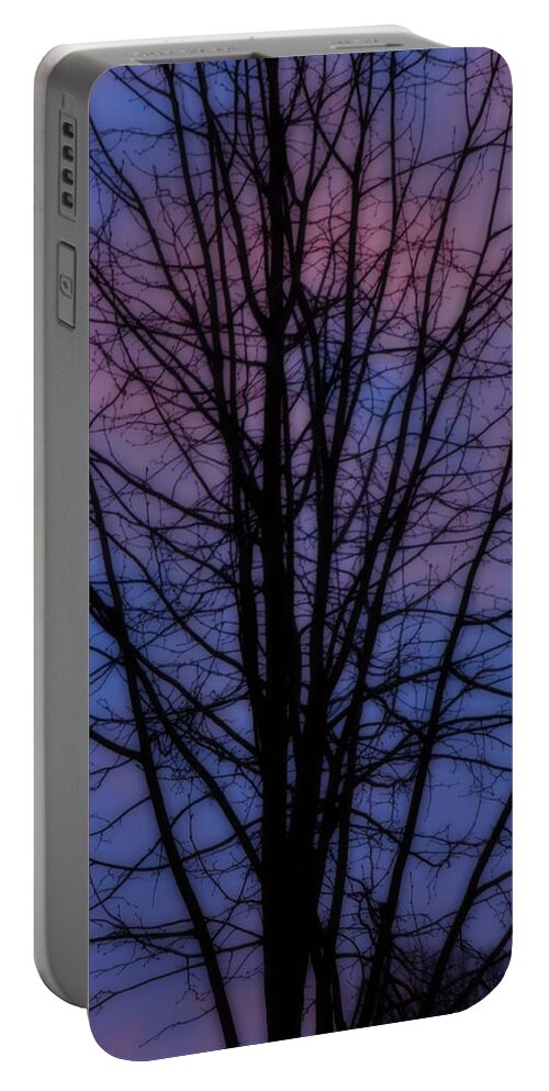 Colette Portable Battery Charger featuring the photograph Pure Nature Magic by Colette V Hera Guggenheim