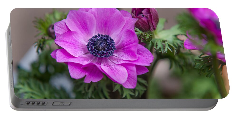 Flower Portable Battery Charger featuring the photograph Purple Anemone. Flowers of Holland by Jenny Rainbow
