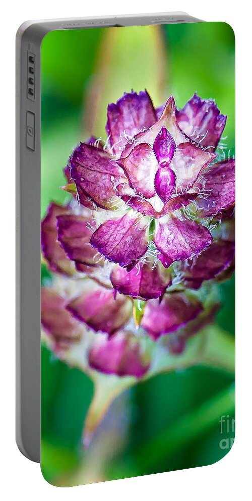 Wildflowers Portable Battery Charger featuring the photograph Purple Beauty by Gwen Gibson